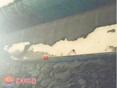 佛山印染廠(chǎng)污泥脫水案例（4帶機(jī)）